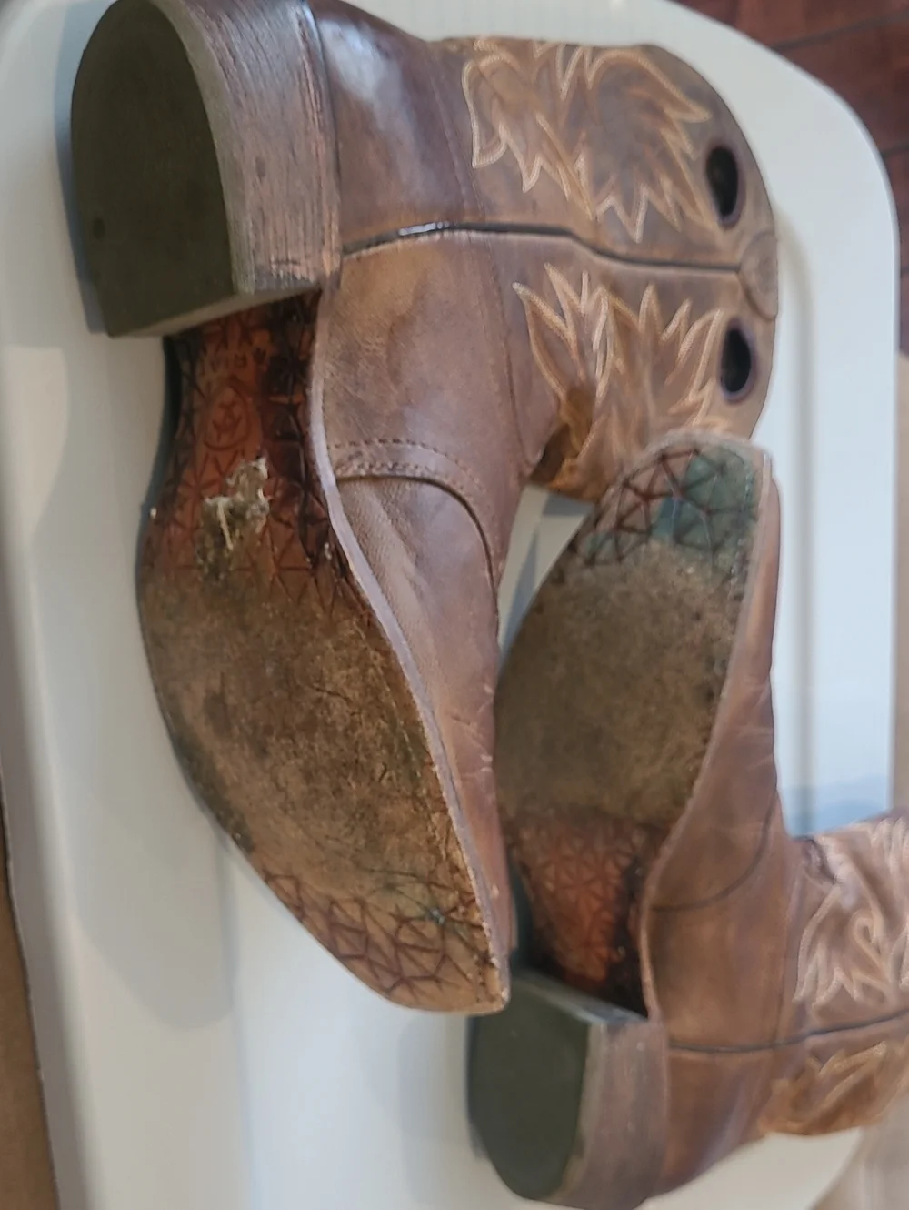 Ariat classic brown